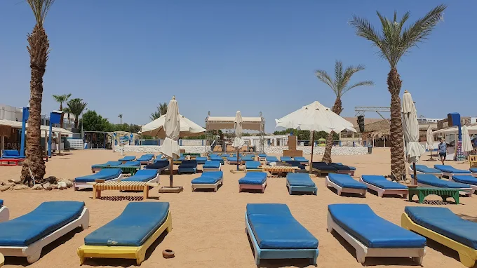 Terrazzina Beach Party